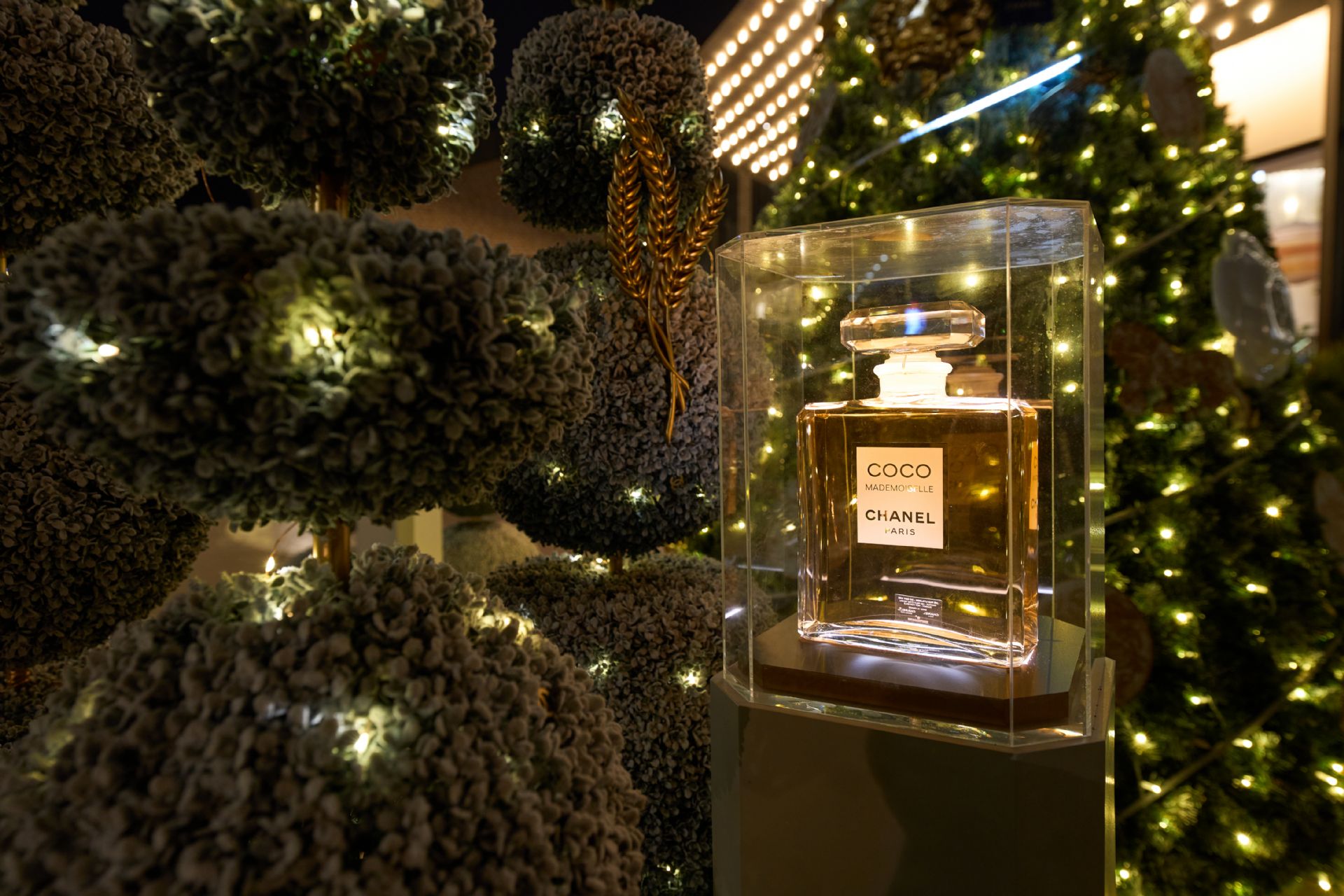 HALİÇPORT TERSANE BEYMEN OUTDOOR - 2025 - CHANEL